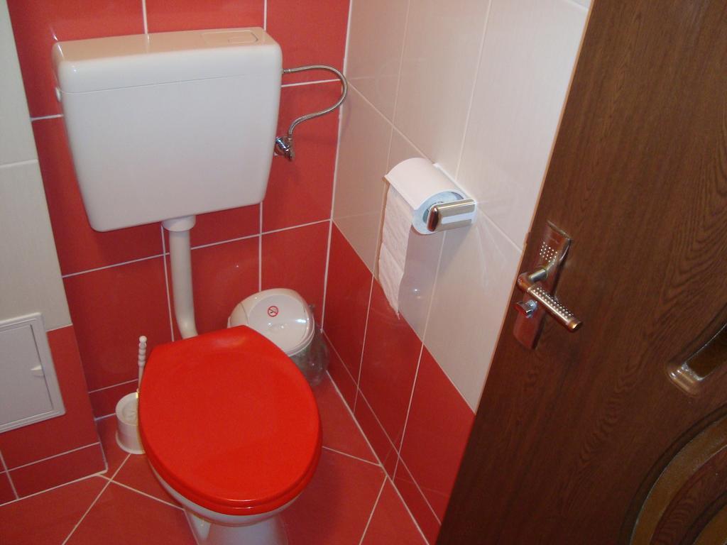 Apartament Miruna Sibiu Filarmonicii Room photo